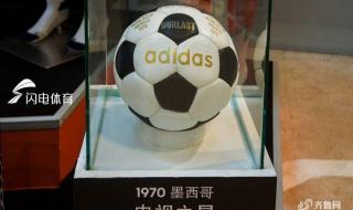 历届世界杯用球名字